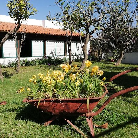 Casa Rural Limon Y Sol Sauzal Exterior photo