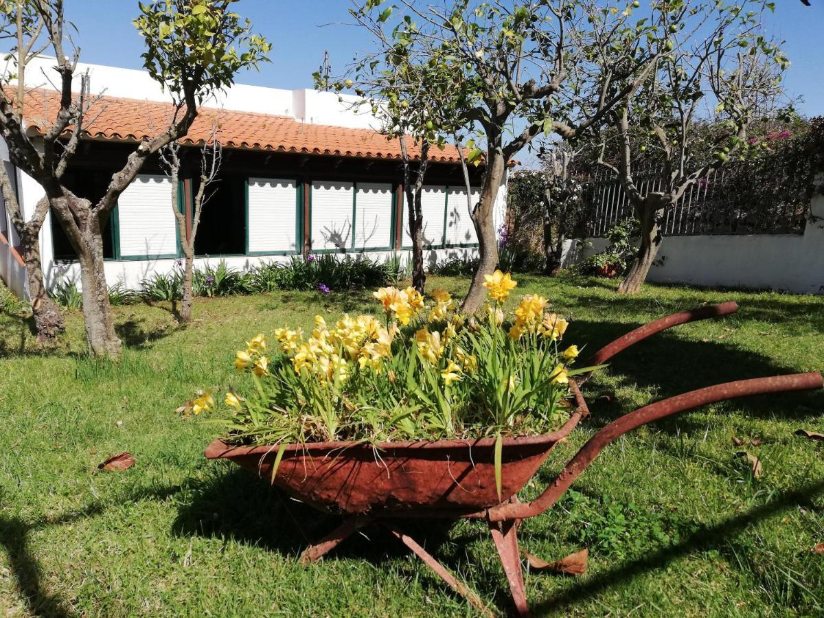 Casa Rural Limon Y Sol Sauzal Exterior photo