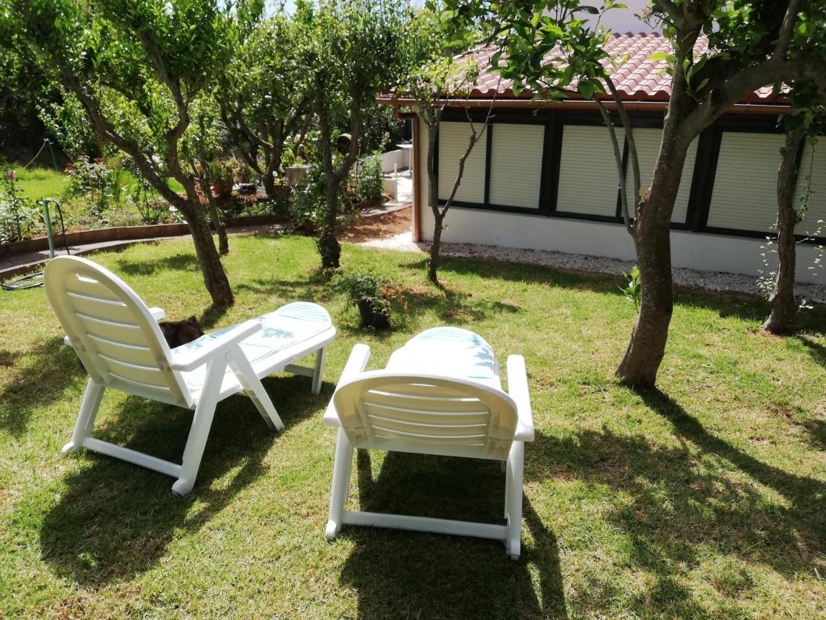 Casa Rural Limon Y Sol Sauzal Exterior photo